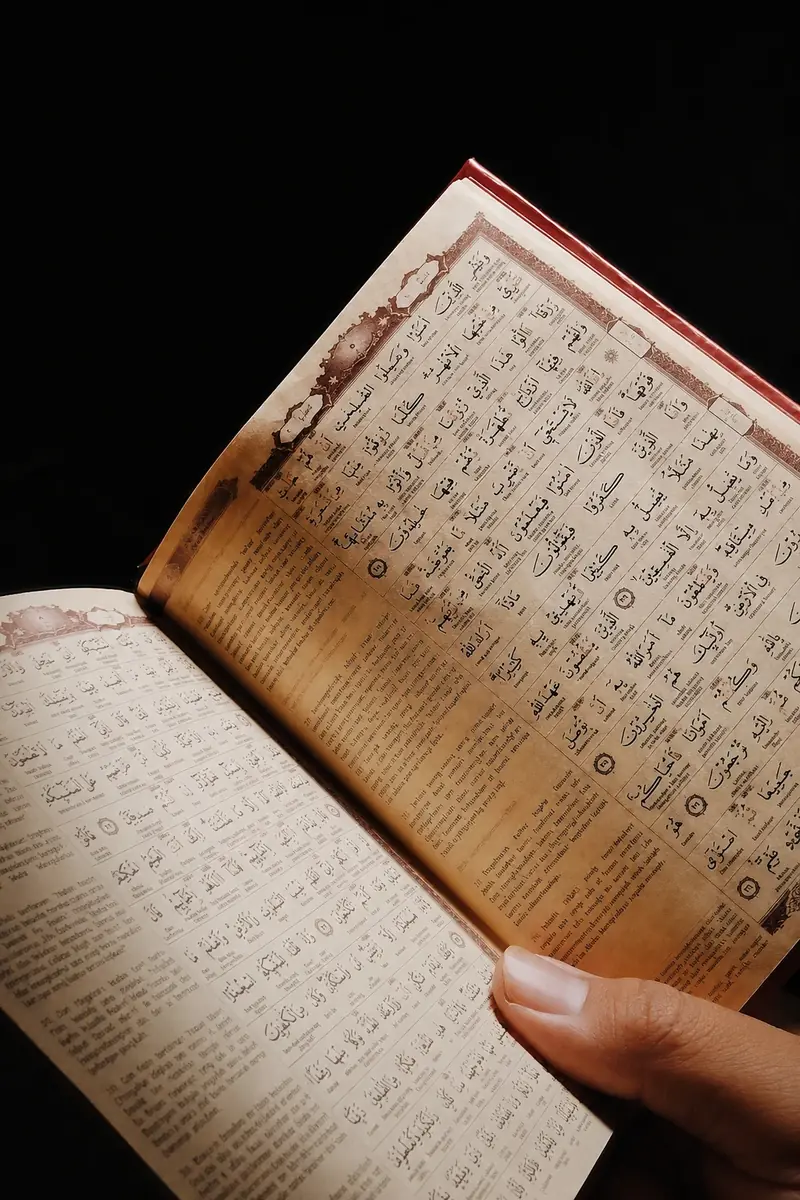 Open Quran for Tafseer study